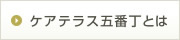 ケアテラス五番丁とは