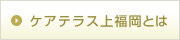 ケアテラス上福岡とは